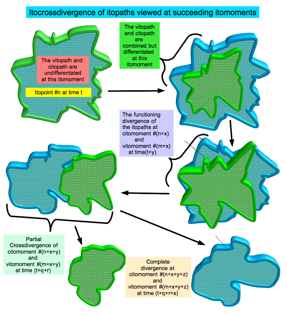 Itocrossdivergence of itopaths viewed at succeeding itomoments 1.png