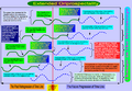 Thumbnail for version as of 18:25, 8 April 2011