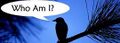 Thumbnail for version as of 18:16, 4 September 2011