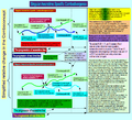 Thumbnail for version as of 02:49, 31 March 2011