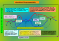 Thumbnail for version as of 15:11, 4 April 2011