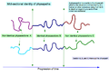 Thumbnail for version as of 13:13, 14 January 2011